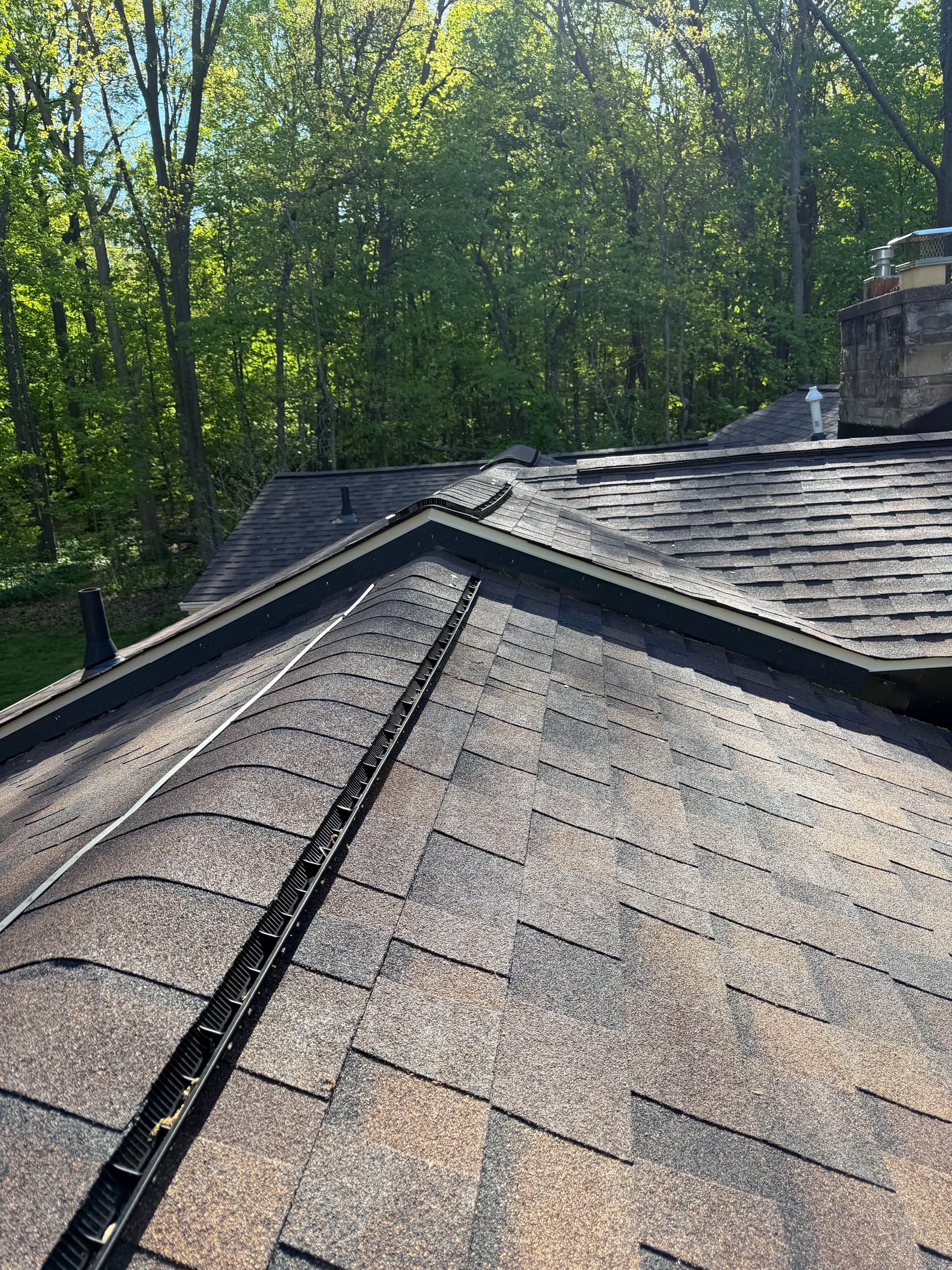 Roof Replacement, Bathroom Remodel, and Exterior Work After Hidden Mold image