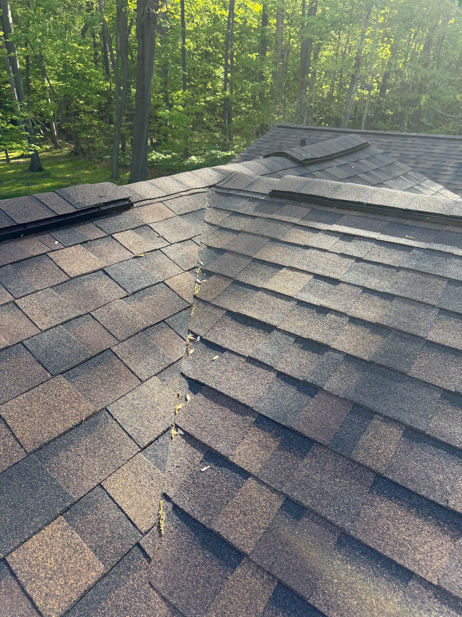 Gallery photos for Roof Replacement, Bathroom Remodel, and Exterior Work After Hidden Mold: Image #2